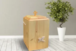 P31 lintu luonnollinen